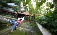 hammock