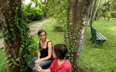 herbal-garden-area