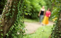 walk_trail