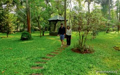 Krishnendu-Ayurveda_resort-Kerala-16