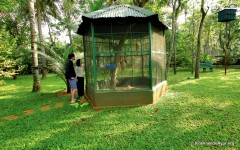 Krishnendu-Ayurveda_resort-Kerala-17