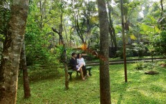 Krishnendu-Ayurveda_resort-Kerala-18