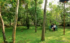 Krishnendu-Ayurveda_resort-Kerala-19