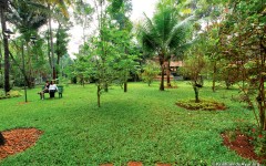 Krishnendu-Ayurveda_resort-Kerala-21